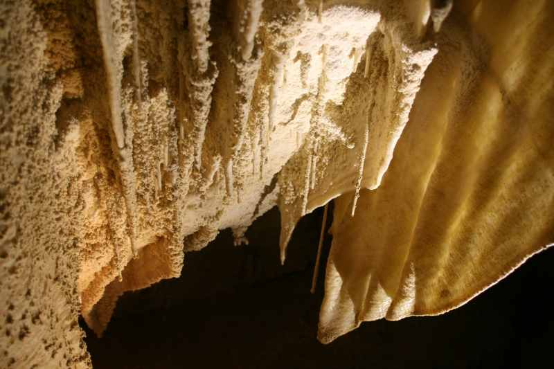 Nieuw-Zeeland 2011 - 0539